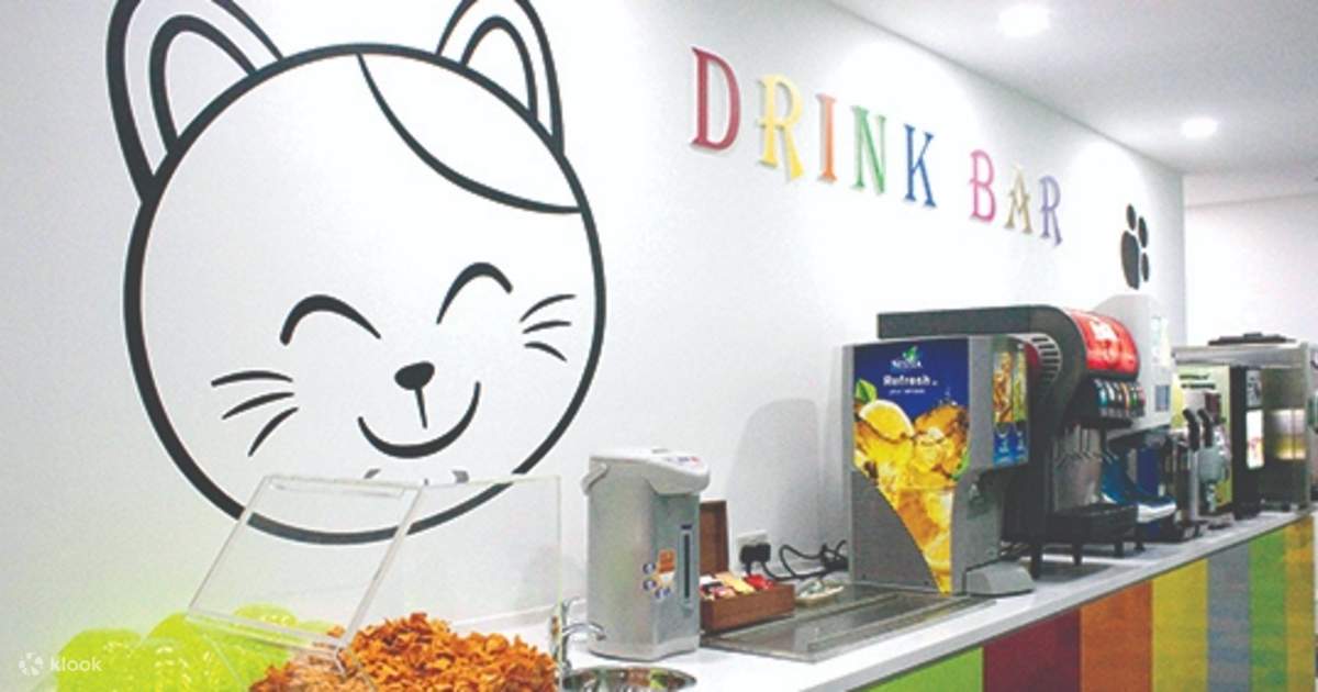 Karaoke Manekineko Singing in Singapore Klook India